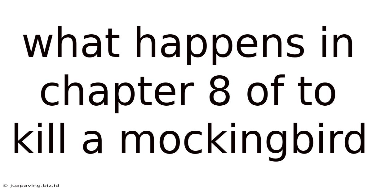 What Happens In Chapter 8 Of To Kill A Mockingbird