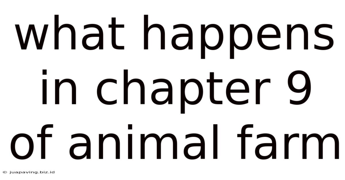 What Happens In Chapter 9 Of Animal Farm