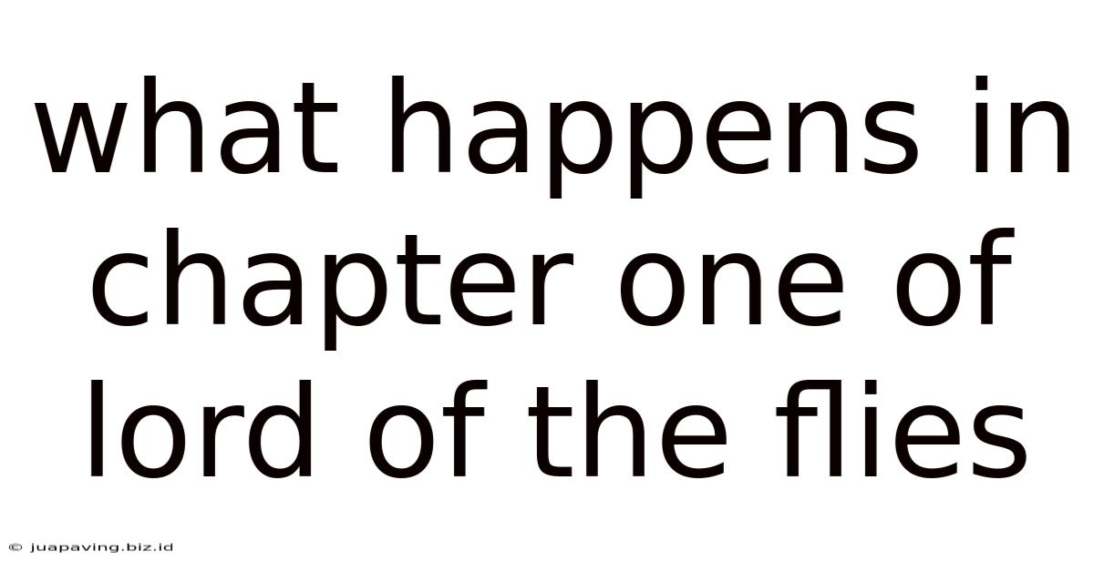 What Happens In Chapter One Of Lord Of The Flies