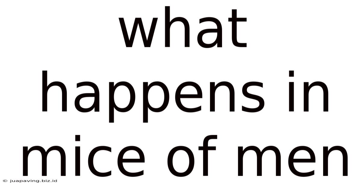 What Happens In Mice Of Men
