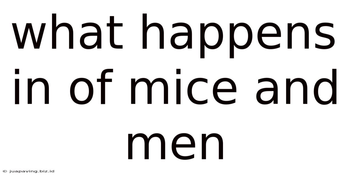 What Happens In Of Mice And Men