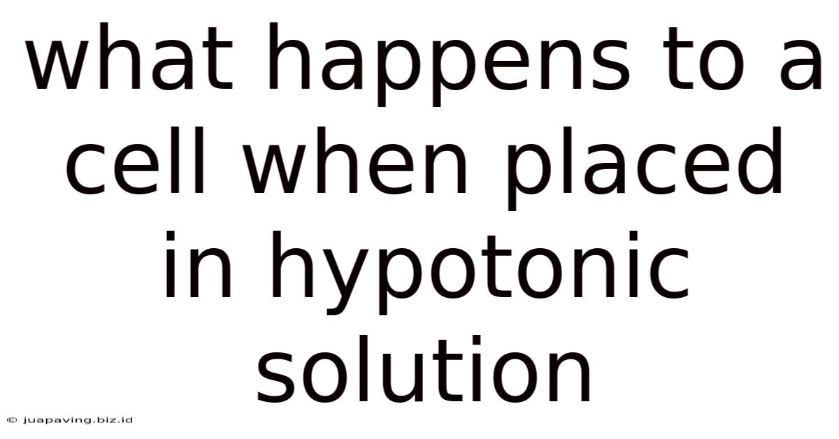What Happens To A Cell When Placed In Hypotonic Solution
