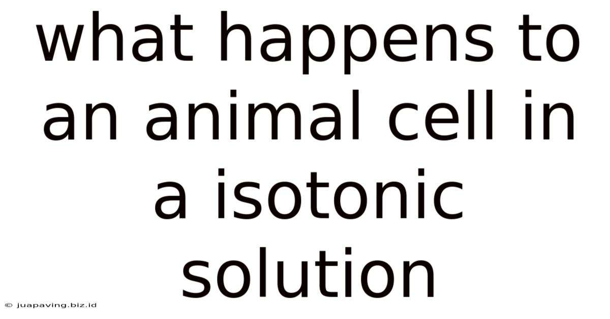 What Happens To An Animal Cell In A Isotonic Solution