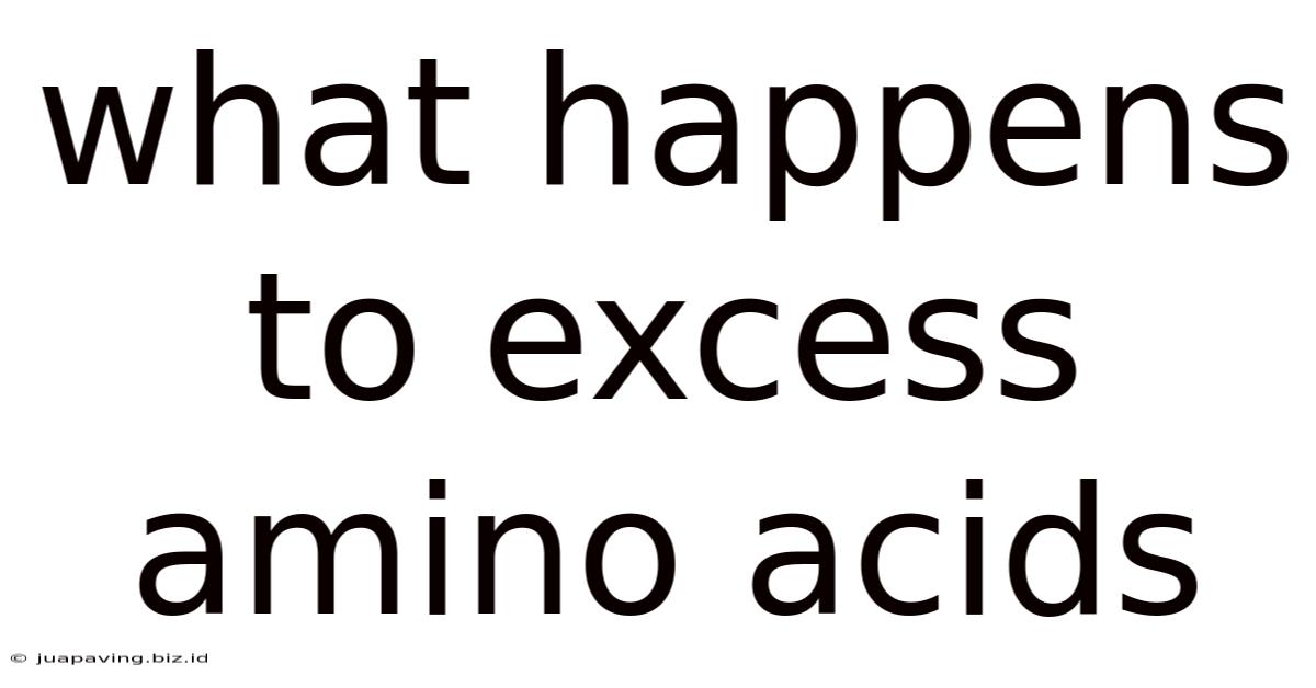 What Happens To Excess Amino Acids