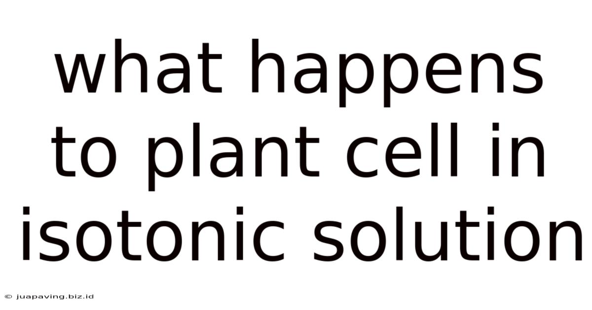 What Happens To Plant Cell In Isotonic Solution