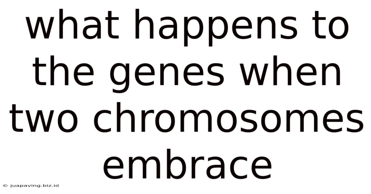What Happens To The Genes When Two Chromosomes Embrace