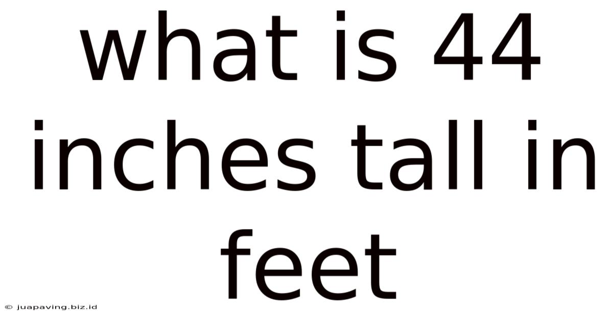 What Is 44 Inches Tall In Feet