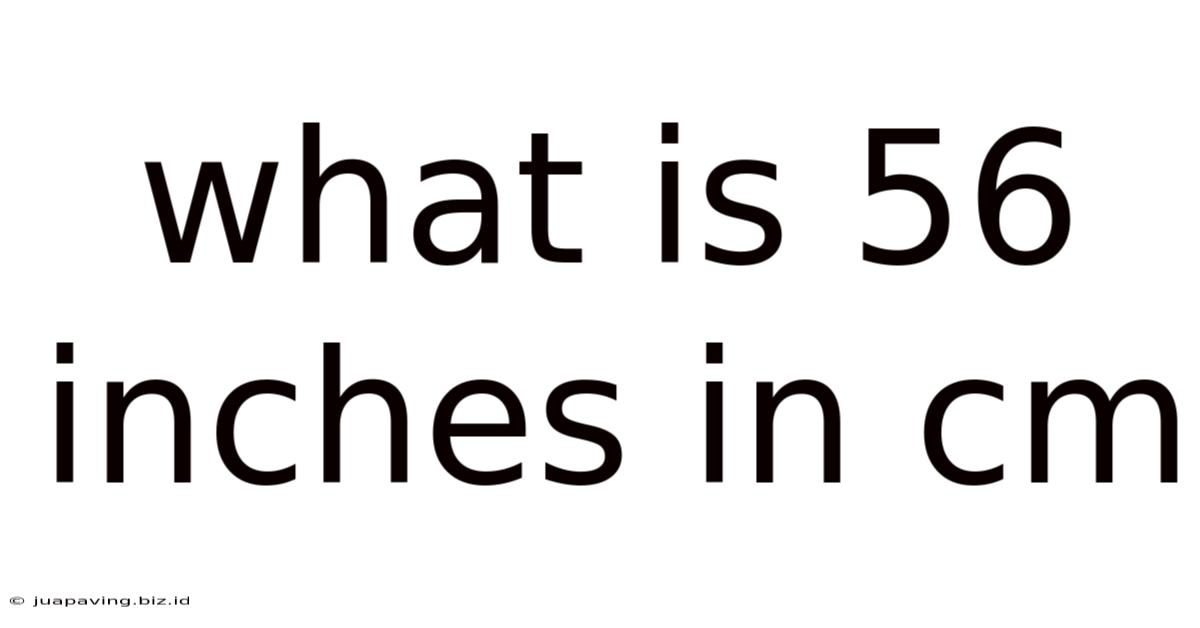 What Is 56 Inches In Cm
