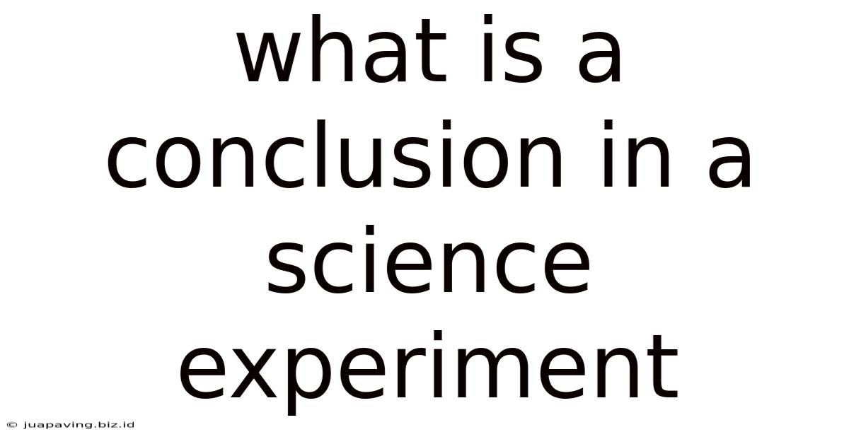What Is A Conclusion In A Science Experiment