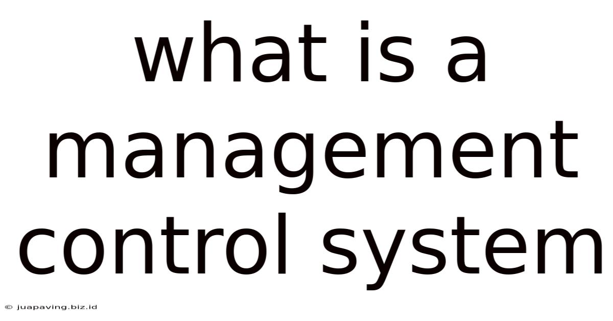 What Is A Management Control System