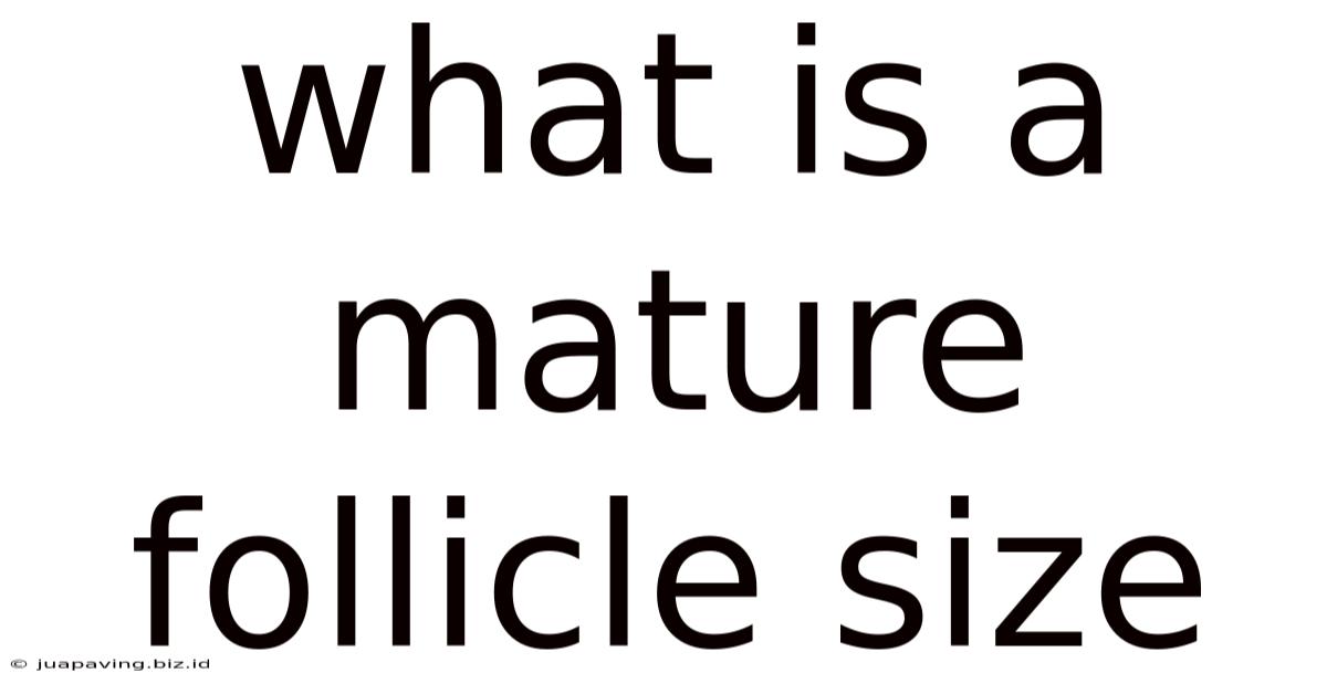 What Is A Mature Follicle Size