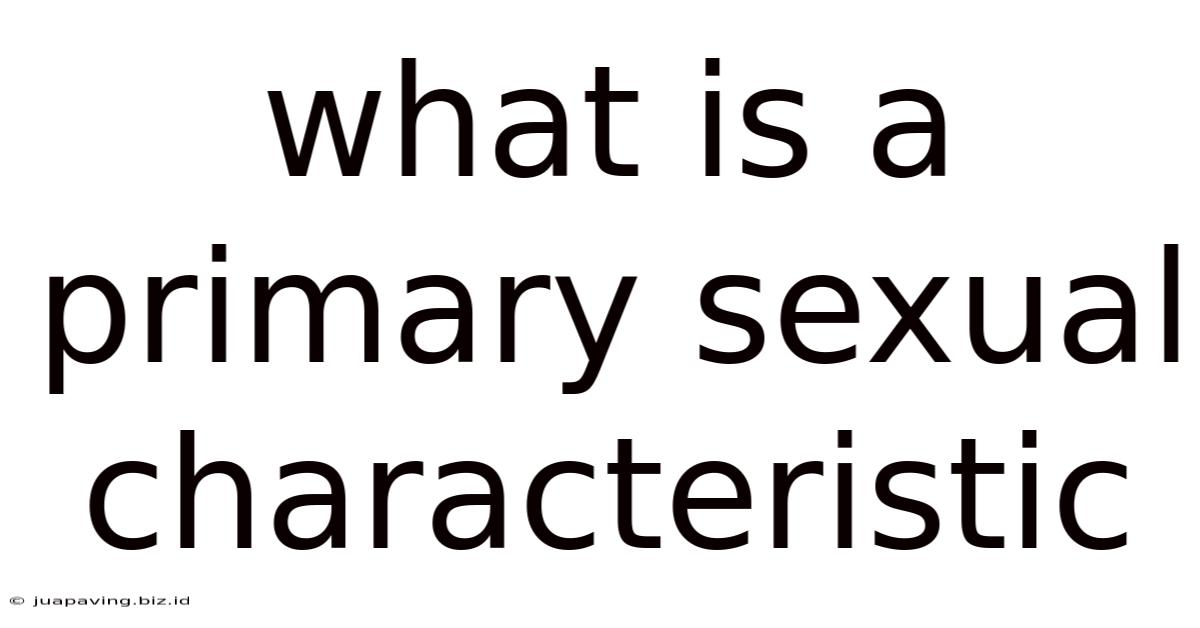 What Is A Primary Sexual Characteristic