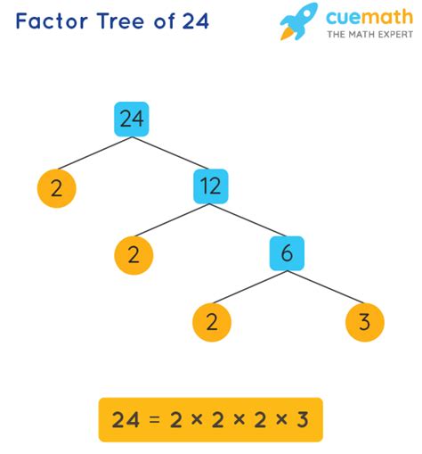 What Is A Prime Factorization Of 24