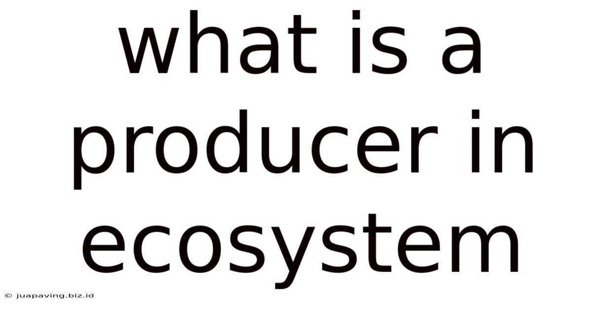 What Is A Producer In Ecosystem