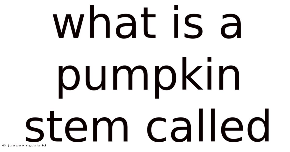 What Is A Pumpkin Stem Called