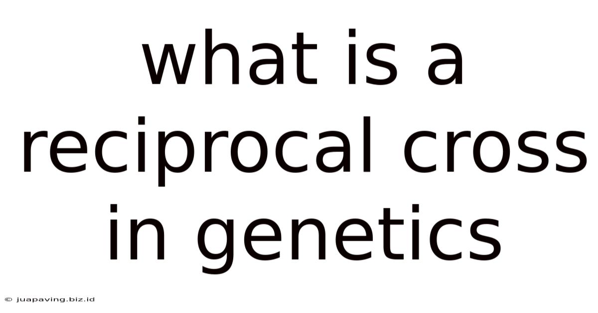What Is A Reciprocal Cross In Genetics