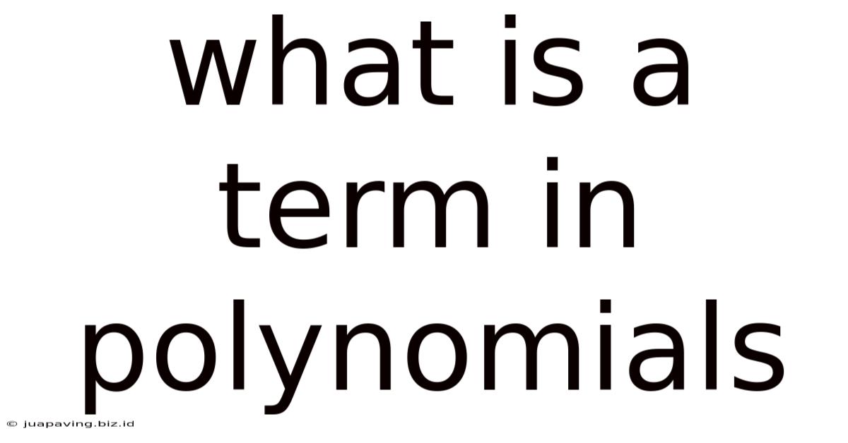 What Is A Term In Polynomials