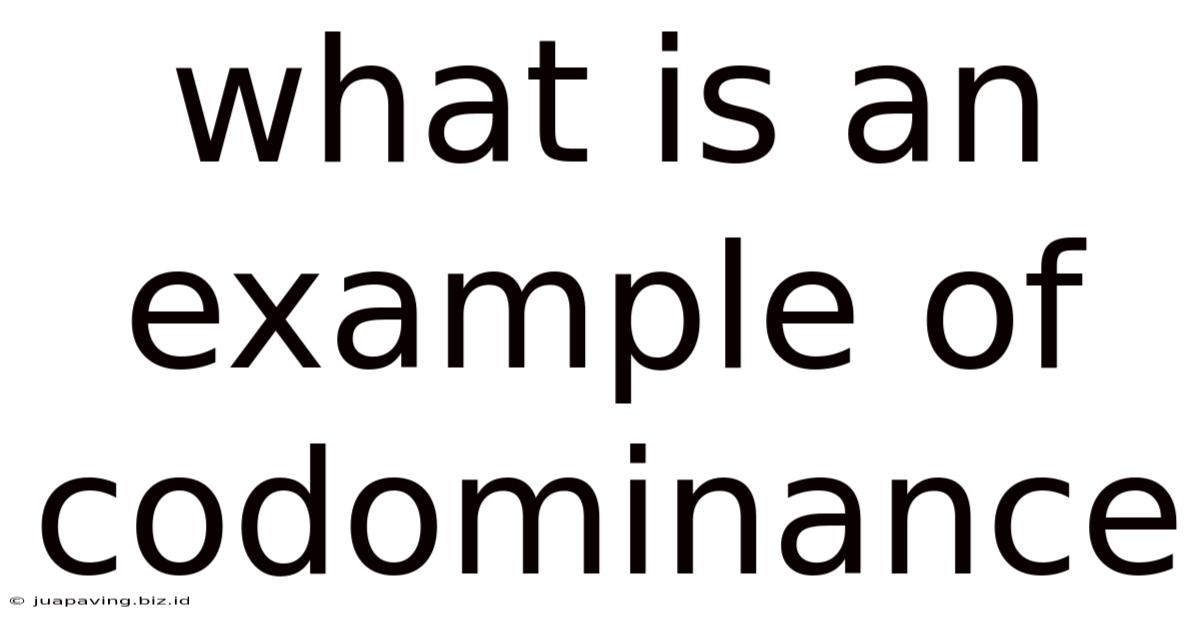 What Is An Example Of Codominance