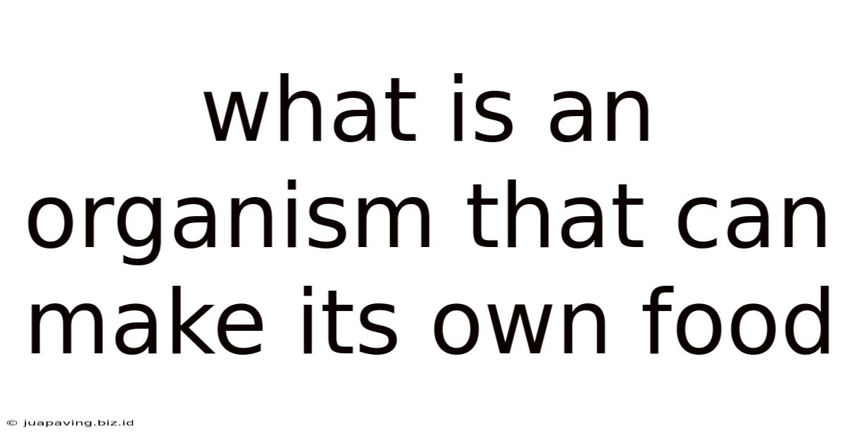 What Is An Organism That Can Make Its Own Food