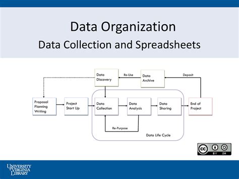 What Is An Organized Collection Of Data