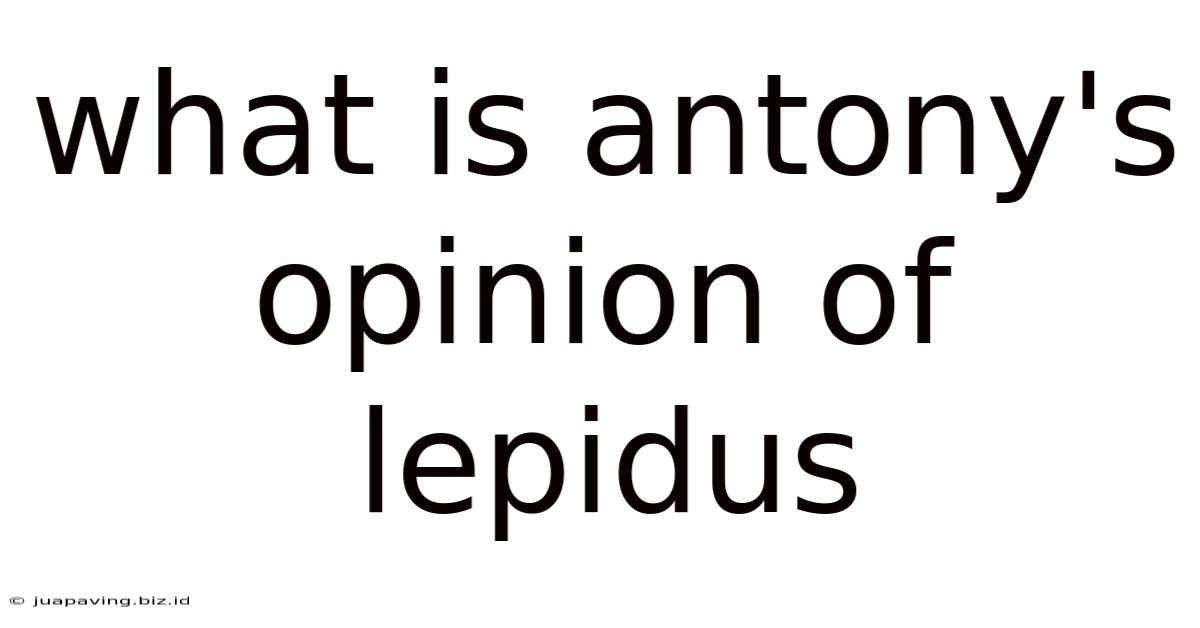 What Is Antony's Opinion Of Lepidus