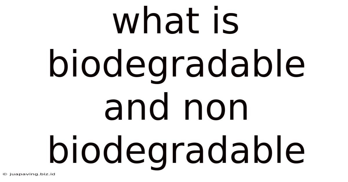 What Is Biodegradable And Non Biodegradable
