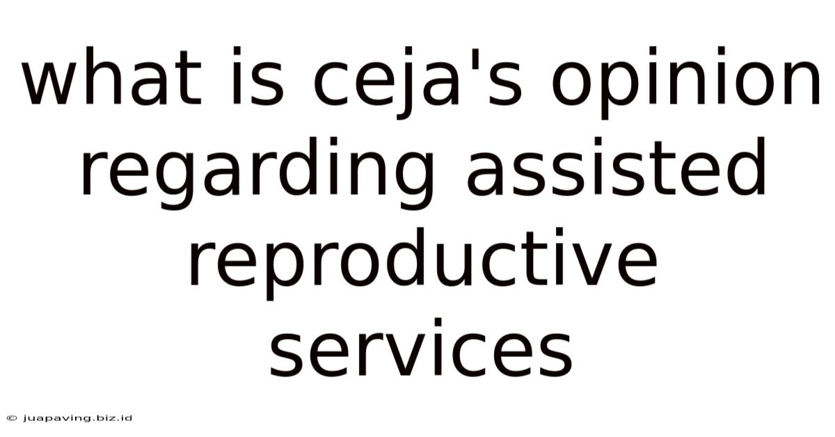 What Is Ceja's Opinion Regarding Assisted Reproductive Services