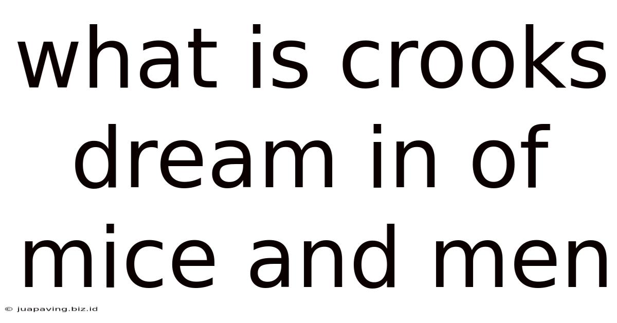 What Is Crooks Dream In Of Mice And Men