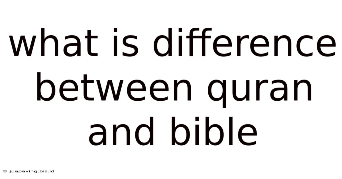 What Is Difference Between Quran And Bible