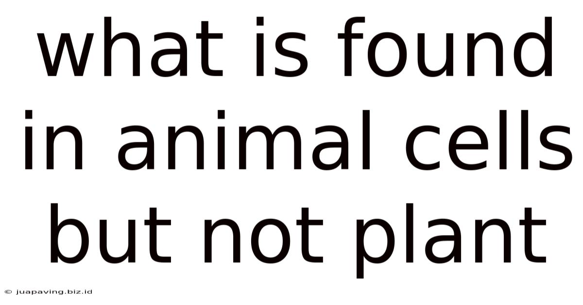 What Is Found In Animal Cells But Not Plant