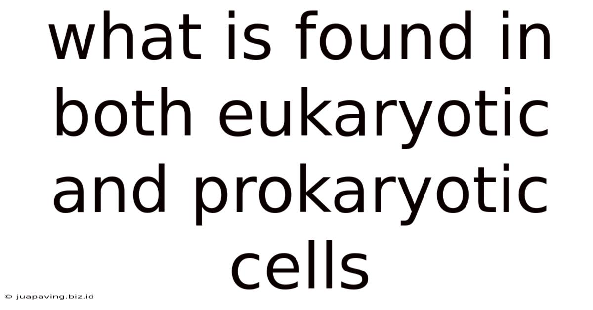 What Is Found In Both Eukaryotic And Prokaryotic Cells
