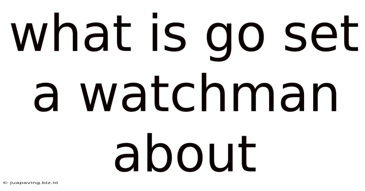 What Is Go Set A Watchman About