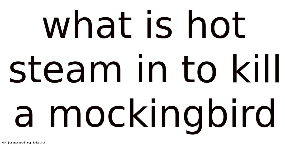 What Is Hot Steam In To Kill A Mockingbird
