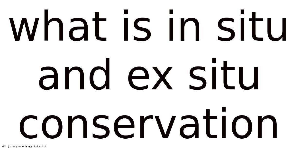 What Is In Situ And Ex Situ Conservation