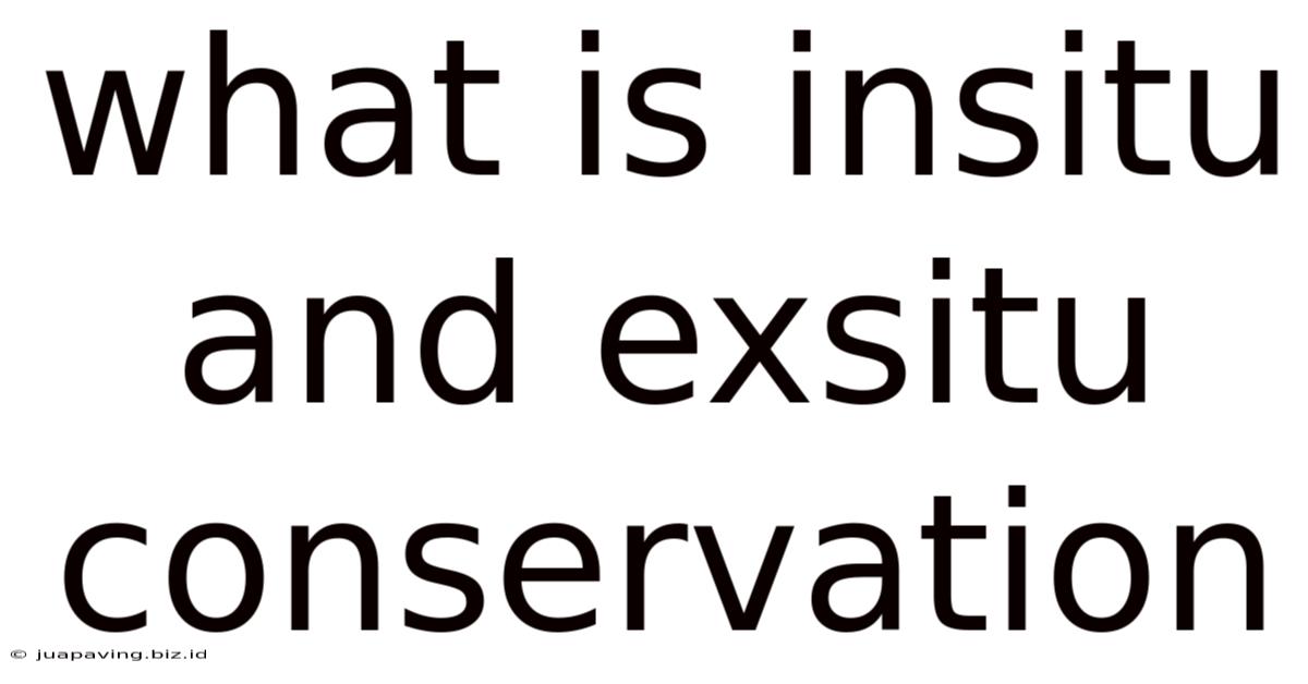What Is Insitu And Exsitu Conservation