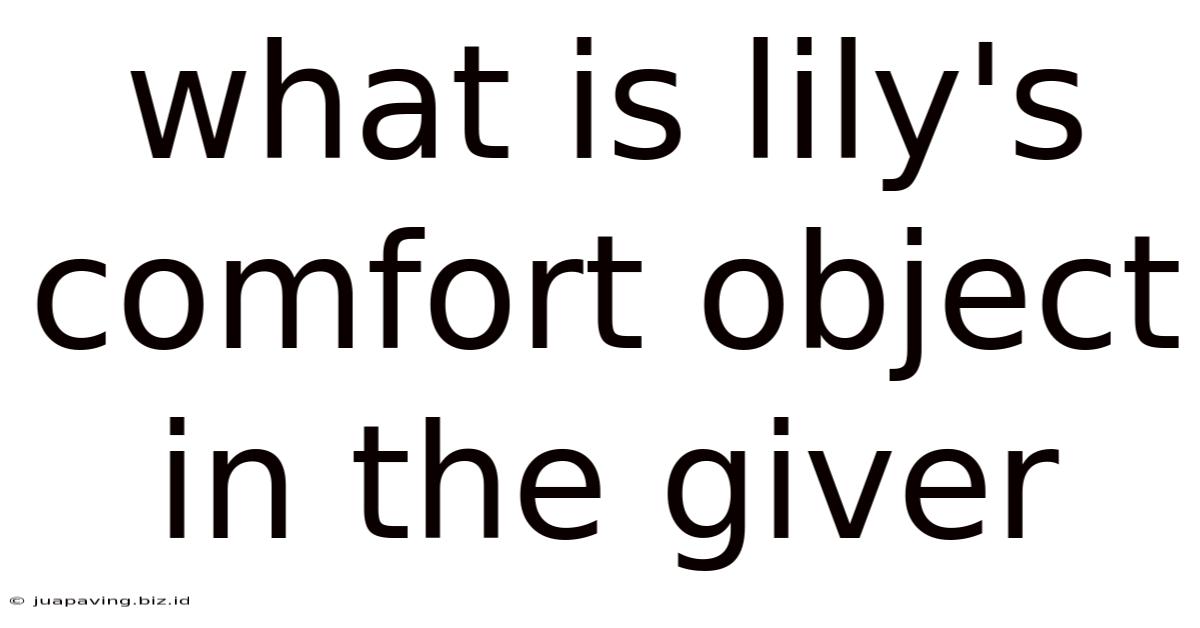 What Is Lily's Comfort Object In The Giver