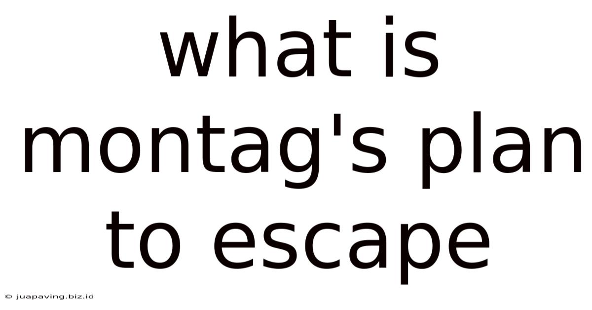 What Is Montag's Plan To Escape
