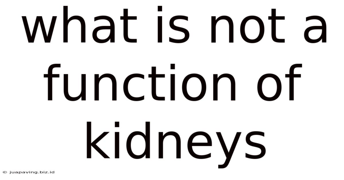 What Is Not A Function Of Kidneys