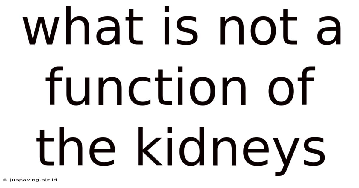 What Is Not A Function Of The Kidneys