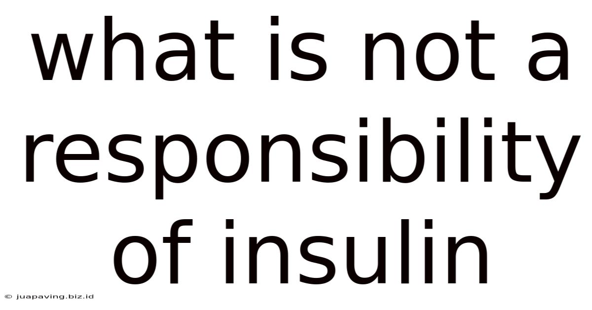 What Is Not A Responsibility Of Insulin