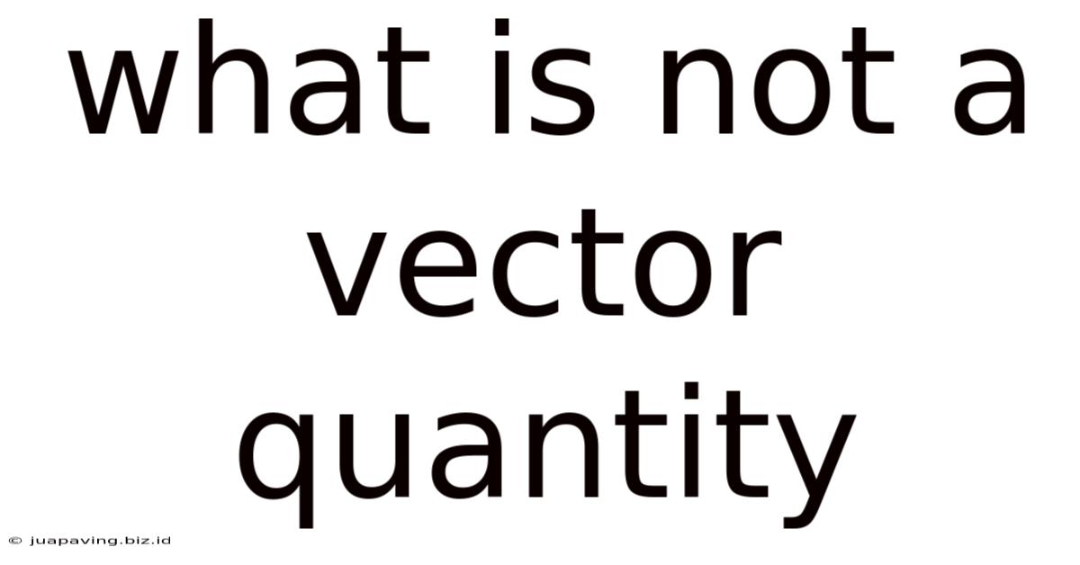 What Is Not A Vector Quantity