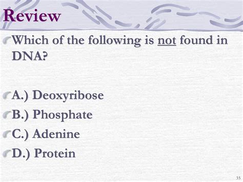 What Is Not Found In Dna