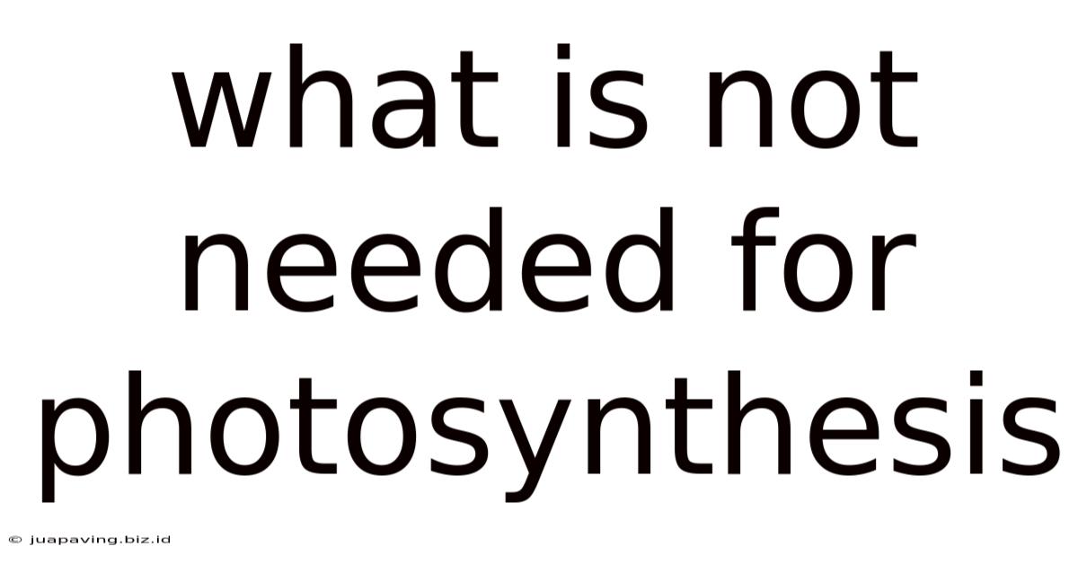 What Is Not Needed For Photosynthesis
