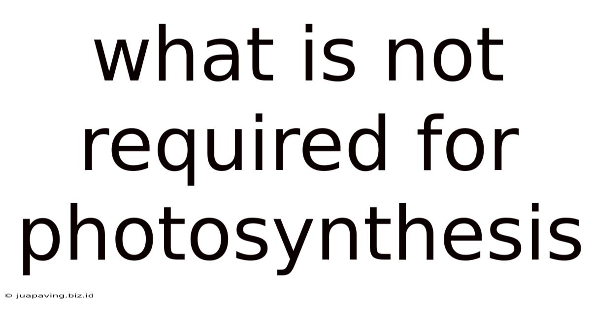 What Is Not Required For Photosynthesis
