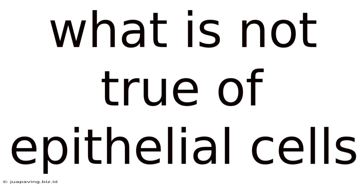 What Is Not True Of Epithelial Cells