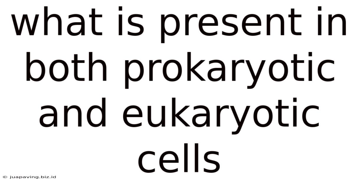 What Is Present In Both Prokaryotic And Eukaryotic Cells