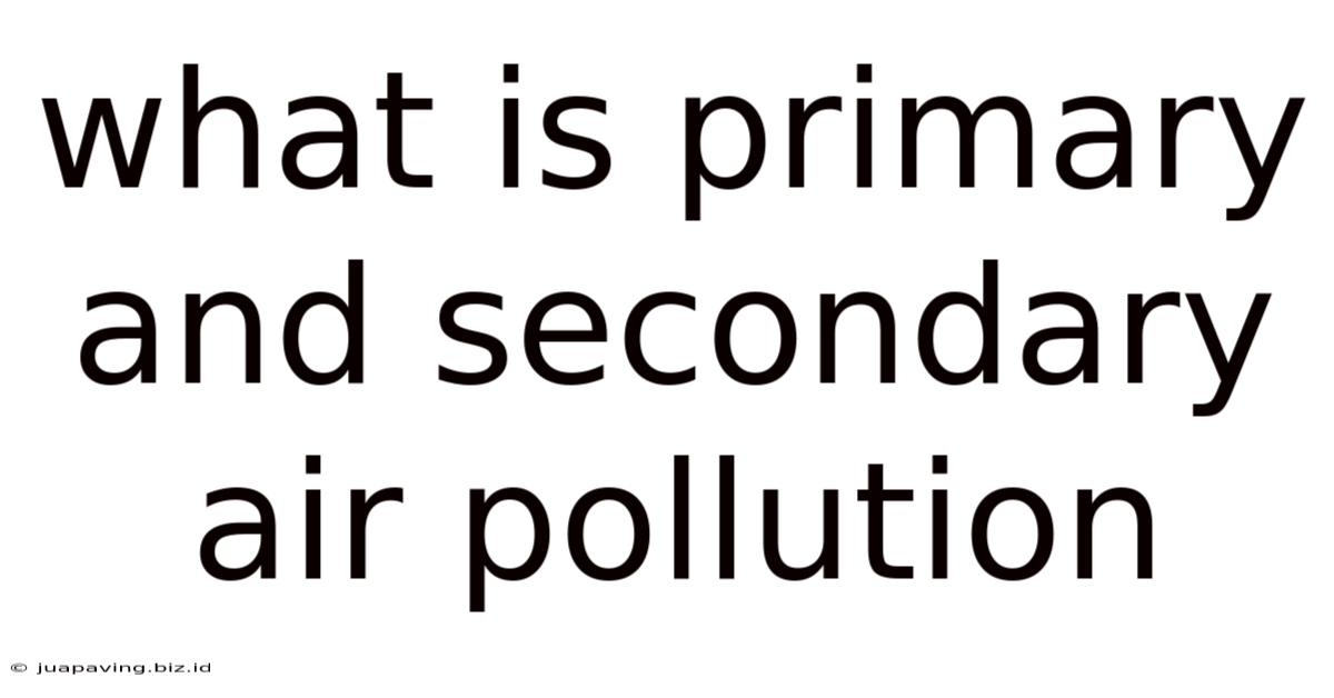What Is Primary And Secondary Air Pollution