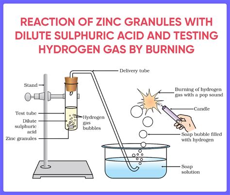 What Is Produced When An Acid Reacts With A Base