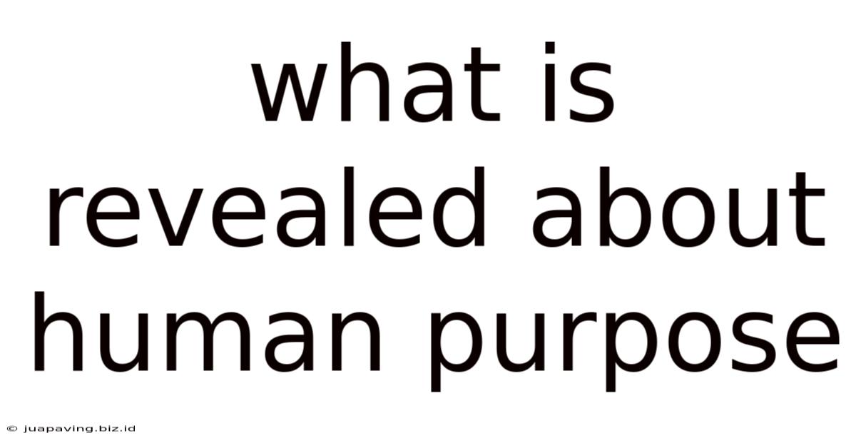 What Is Revealed About Human Purpose