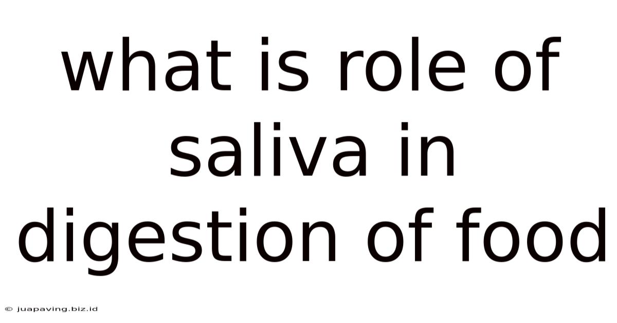 What Is Role Of Saliva In Digestion Of Food